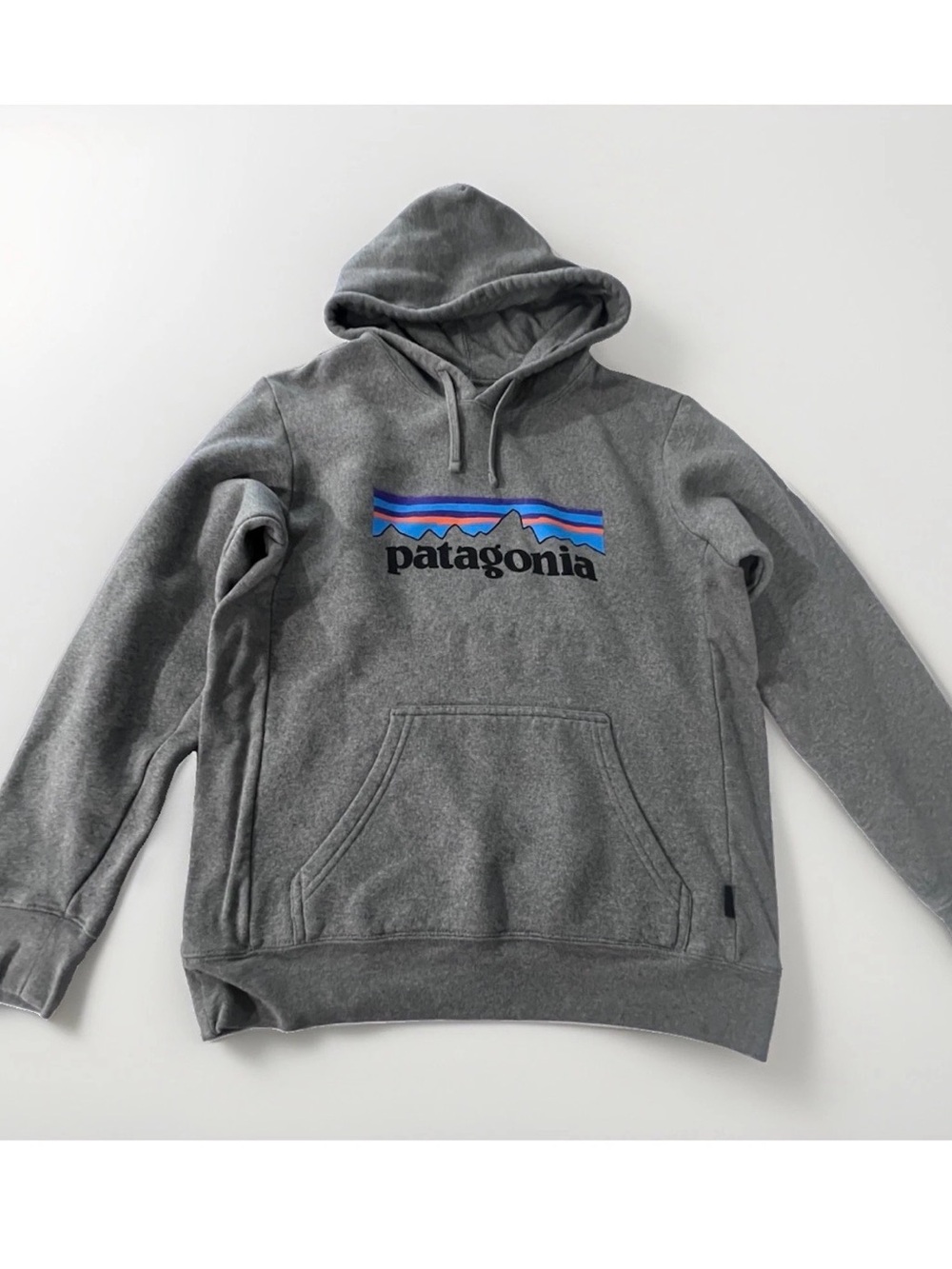 Patagonia Gray Hoodie with Blue & Purple Logo
